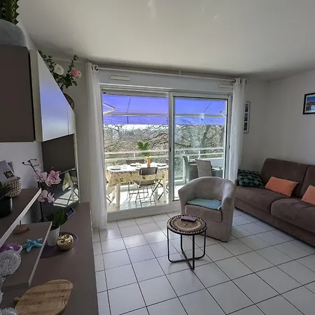 Apartman - Superbe T3 Avec Terrasse, Piscine Et Parking Securise - 6 Personnes - Fr-1-420-33 *