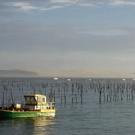Appartement Arcachon, 3 Pièces, 6 Personnes - Fr-1-420-33 *
