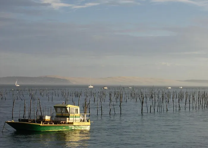 Appartement Arcachon, 3 Pièces, 6 Personnes - Fr-1-420-33 *