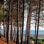 Apartment - Superbe T3 Avec Terrasse, Piscine Et Parking Securise - 6 Personnes - Fr-1-420-33 Arcachon