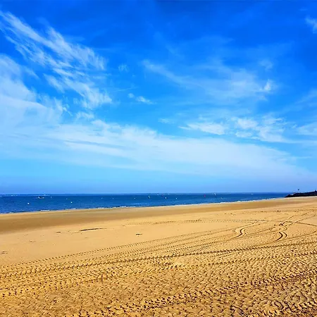 Apartmán - Superbe T3 Avec Terrasse, Piscine Et Parking Securise - 6 Personnes - Fr-1-420-33 Arcachon
