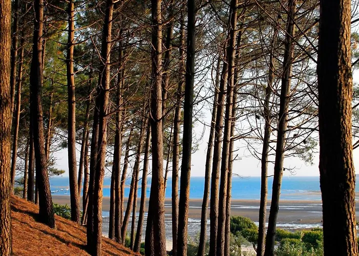 Apartment - Superbe T3 Avec Terrasse, Piscine Et Parking Securise - 6 Personnes - Fr-1-420-33 Arcachon